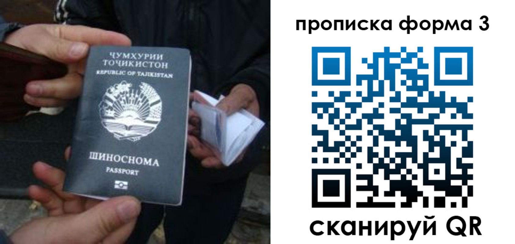 прописка 2025 в Обояни